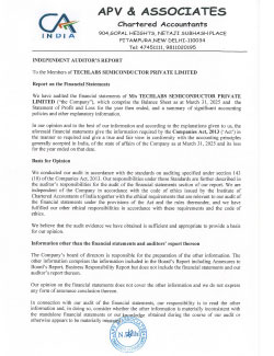 Balance Sheet Semicon 2024-25