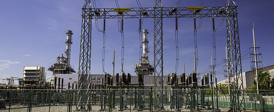 Our Designing services cater