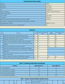 shareholding-pattern-october