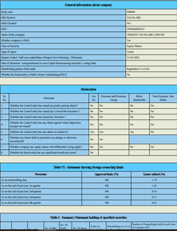 Shareholding Pattern December